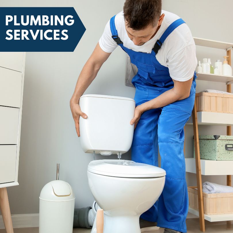 Plumbing Company in Holt, MI